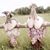Kaylee Resch's profile image