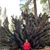 Esdras Orantes's profile image