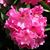 Deb Clark's profile image