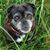 Martha Blake's profile image
