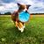 Jessica Reft's profile image