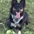 Gretchen Orkins's profile image