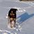 Karen Beyer's profile image