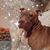 Susie Turk's profile image