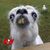 Sandie Davis's profile image