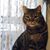 Sherry Bender's profile image