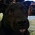 Nettie Tucker Deemer's profile image