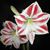Debbie Stuto's profile image