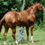 Don Slagle's profile image