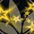 Ivonne Chalico's profile image