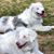 Jeanne Hatherill Atkins's profile image