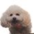 Valerie Garvey's profile image