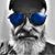 Jett Bailes's profile image
