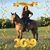 Tara Dahnke's profile image