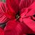 Holly Potter Ware's profile image