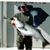 John Shaffer's profile image