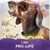 Terrie Ann Gipson's profile image