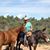 Linda Hess's profile image