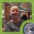 Diane E. Bradford's profile image