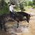 Stacia Straub's profile image