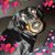Kim Reek's profile image