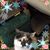 Barb J. L. Jackman's profile image
