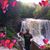 Traci Ward's profile image
