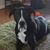 Jerita Bray Colston's profile image