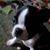 Nancy Cottrill's profile image
