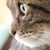 Marcia A Letky's profile image