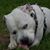 Patricia Reed's profile image