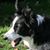 Sharon Hopp's profile image