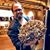 Chip Schwartz's profile image