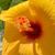Dorothyann Reilly's profile image