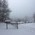 Elizabeth B Strub's profile image