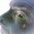 Joshua Maddox's profile image