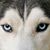 Raymond Bernadisius's profile image