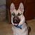 Anthony Dattoli's profile image