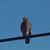 Brenda Doty's profile image