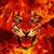 Chris Houle's profile image