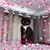 Julie Wilkinson Pixley's profile image