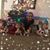 Sabrina Artz's profile image
