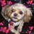 Tahdah Feeney's profile image
