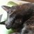 Donna-Jean Boulay's profile image