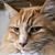 Anne Kienberger's profile image