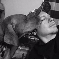 Gregg Smith's profile image