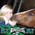 Jennifer Weigand's profile image