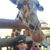 Gail Smilanich's profile image