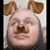 Damon Welch's profile image
