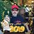 Raymond Orosco Bravo's profile image